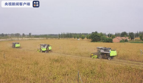 机械|山东300万亩大豆迎来丰收 大规模机械作业展开