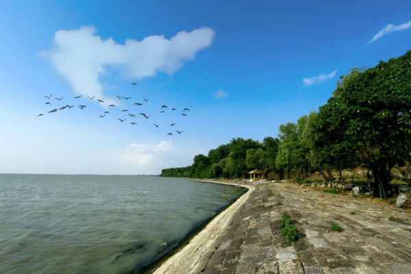 洪泽湖大堤■和洪泽湖古堰边走边聊