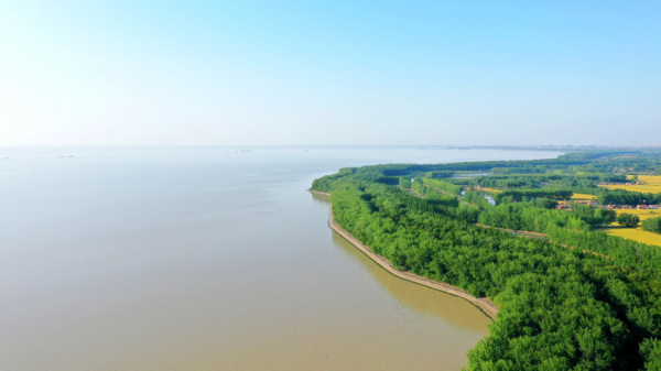 洪泽湖大堤■和洪泽湖古堰边走边聊