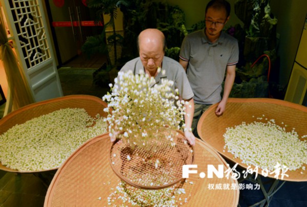 福州茉莉花茶窨制工艺 东西方交流史上的佳话