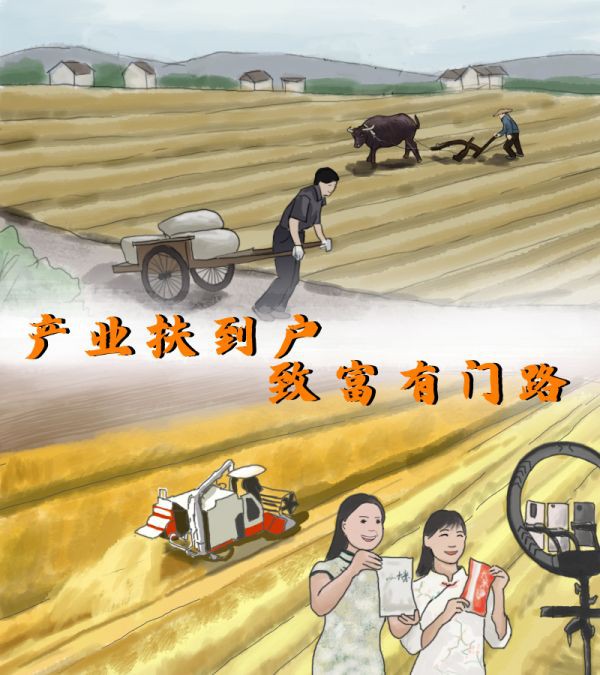 直播 现代化