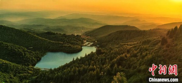 黄土高原&ldquo;林海&rdquo;护林员：&ldquo;行走的绿色&rdquo;越来越大