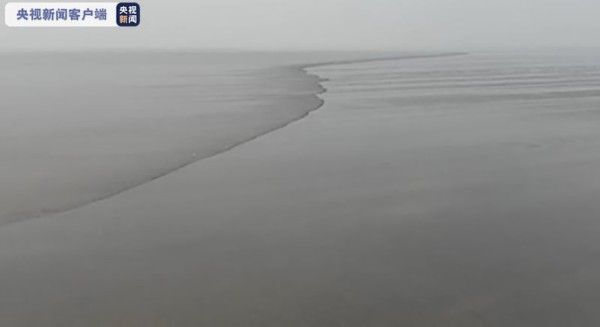 北岸黄沙坞排涝闸上游，江中地形高低不平，潮形呈现S型（右侧上游）