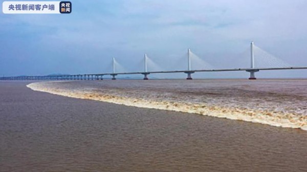 南岸嘉绍大桥上游，江中地形高低不平，潮形呈现抛物线型（左侧为上游）