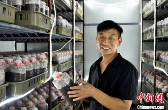 在智能化发菌培养库，种植食用菌20多年的李加祥谈到，很愿意二次创业，带动更多的菌农致富。　朱志庚　摄