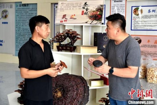 鹿楼镇政府包挂企业服务干部正在与企业家讨论食用菌电商发展。　朱志庚 摄