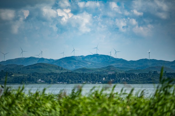 贵州草海国家级自然保护区。新华社记者 陶亮 摄.jpg