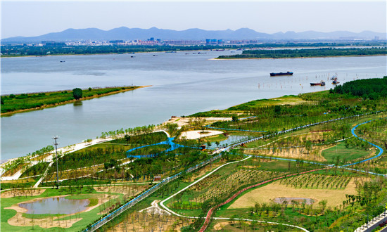 长江江宁段水清岸绿。记者 姚强 冯芃 董家训 摄