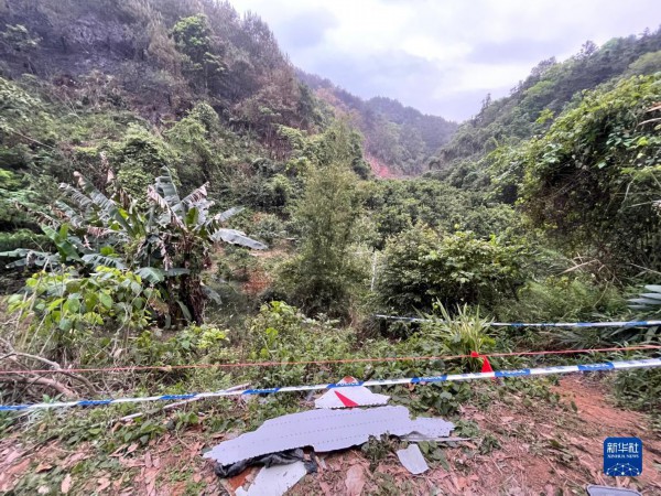 这是东航MU5735客机坠毁事故现场（3月22日摄，手机照片）。新华社记者 周华 摄