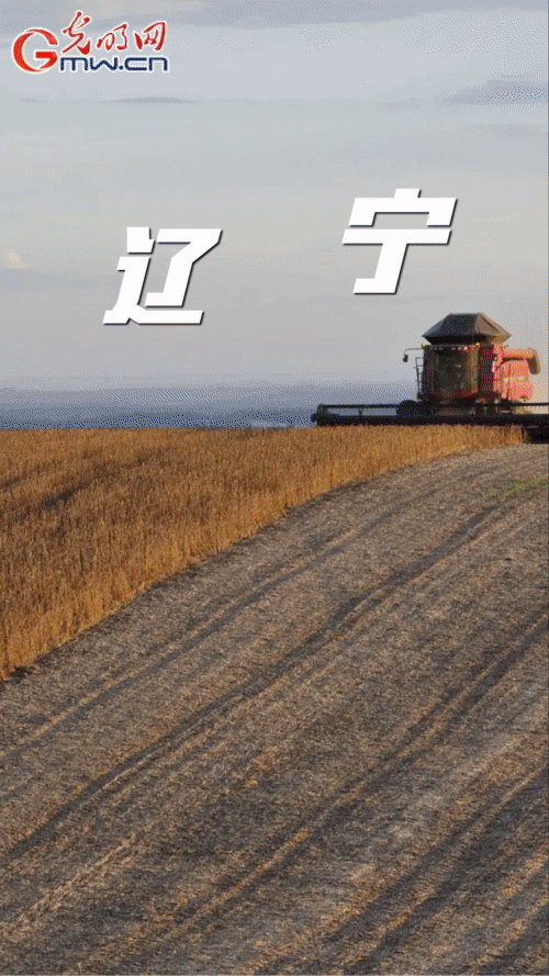 【&ldquo;动&rdquo;漫海报】因地制宜 多措并举 不折不扣完成大豆油料扩种目标任务