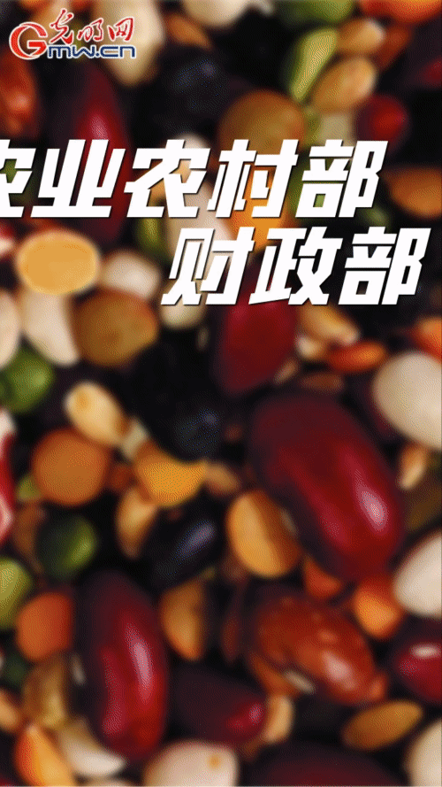 【&ldquo;动&rdquo;漫海报】因地制宜 多措并举 不折不扣完成大豆油料扩种目标任务