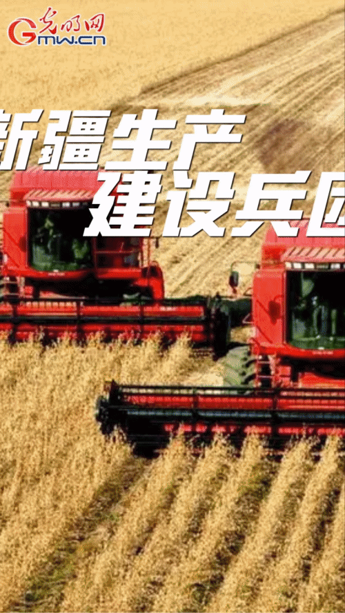 【&ldquo;动&rdquo;漫海报】因地制宜 多措并举 不折不扣完成大豆油料扩种目标任务