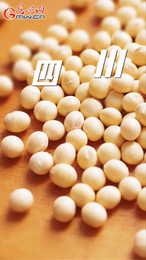 【&ldquo;动&rdquo;漫海报】因地制宜 多措并举 不折不扣完成大豆油料扩种目标任务