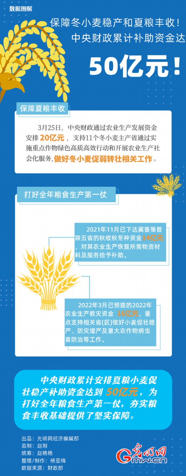 数据图解丨保障冬小麦稳产和夏粮丰收!中央财政累计安排补助资金达50亿元