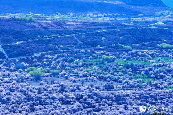 远眺&ldquo;桃花村&rdquo;。人民网 李海霞摄
