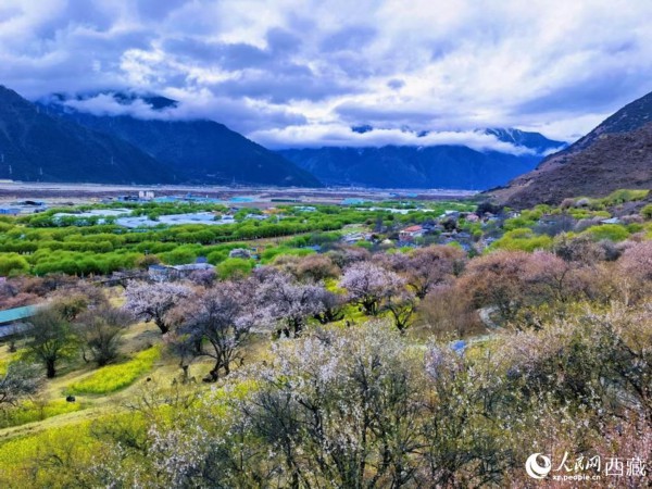 桃花丛中的&ldquo;童话小镇&rdquo;。人民网 李海霞摄