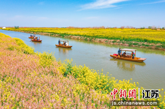 湖塘花海。大纵湖旅游度假区供图