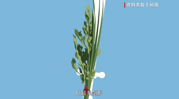 【网络中国节&middot;端午】端午漫谈③：端午节的习俗