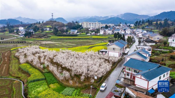 （沿着总书记的足迹&middot;贵州篇）（4）开创多彩贵州的美好未来&mdash;&mdash;沿着总书记的足迹之贵州篇
