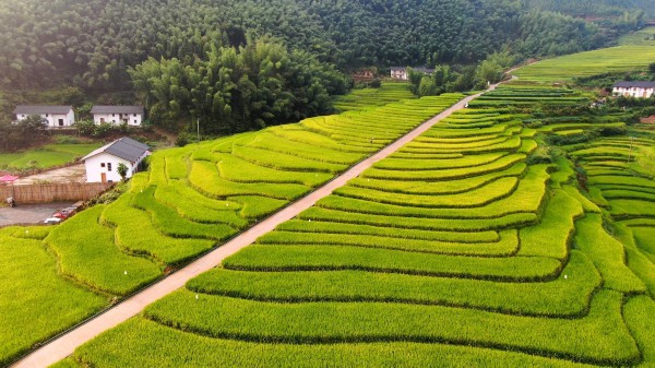 崇义县上堡梯田已成为全国知名旅游目的地，以此助力乡村振兴。