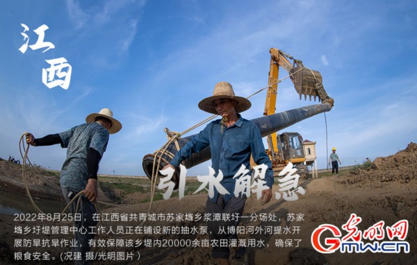 南方粮食主产区全力抗旱 保障秋粮&ldquo;颗粒归仓&rdquo;（组图）