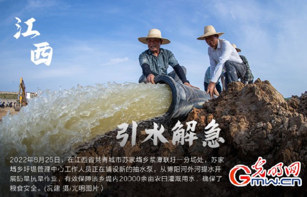 南方粮食主产区全力抗旱 保障秋粮&ldquo;颗粒归仓&rdquo;（组图）