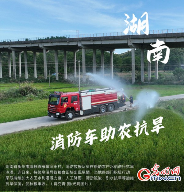 南方粮食主产区全力抗旱 保障秋粮&ldquo;颗粒归仓&rdquo;（组图）