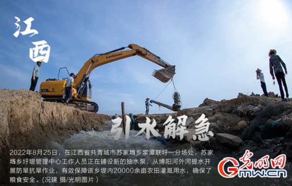 南方粮食主产区全力抗旱 保障秋粮&ldquo;颗粒归仓&rdquo;（组图）