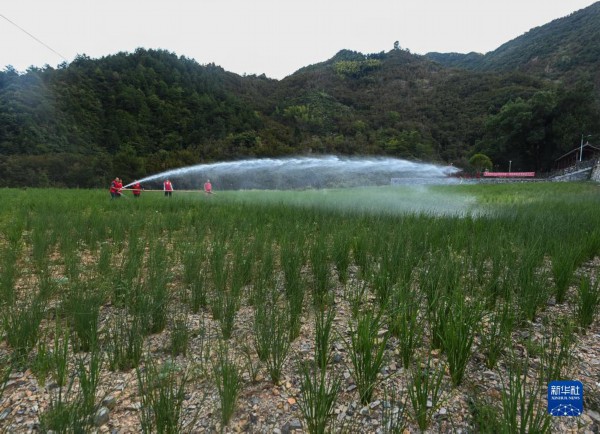 牢牢把住粮食安全主动权——以习近平同志为核心的党中央带领人民干好这件头等大事