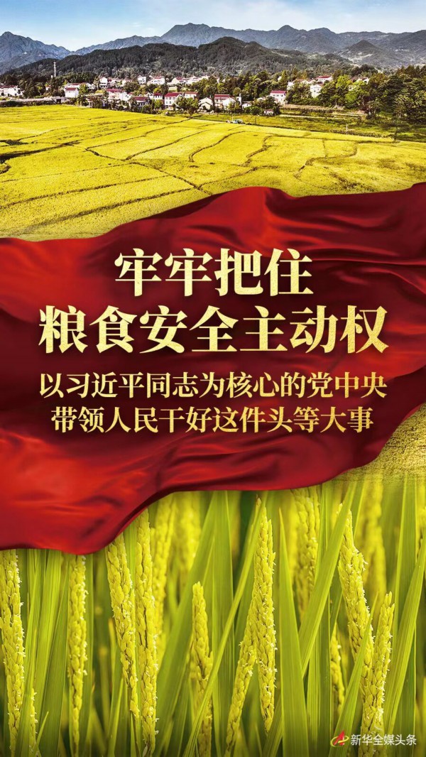 牢牢把住粮食安全主动权——以习近平同志为核心的党中央带领人民干好这件头等大事