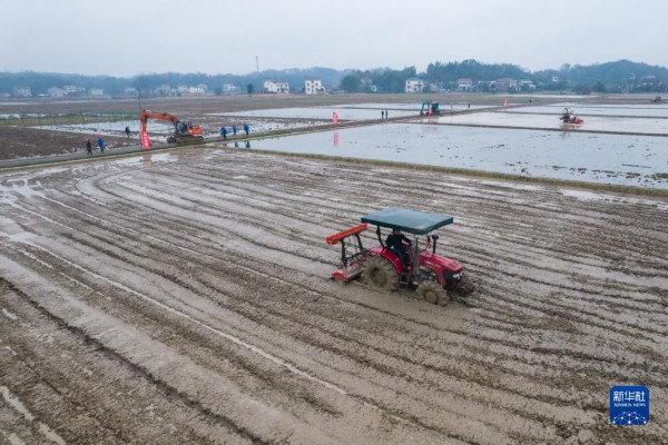 牢牢把住粮食安全主动权——以习近平同志为核心的党中央带领人民干好这件头等大事