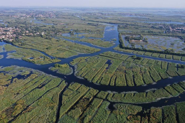 　&uarr;2022年9月21日拍摄的雄安新区白洋淀划定的一处鸟类栖息地(无人机照片)。