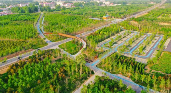 　&uarr;2022年5月5日拍摄的雄安新区&ldquo;千年秀林&rdquo;(无人机照片)。