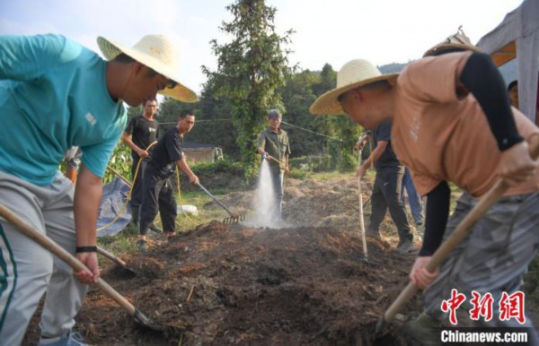 二叔(左四)带着学员们走到田间，边讲解、边制作有机堆肥。　王刚 摄
