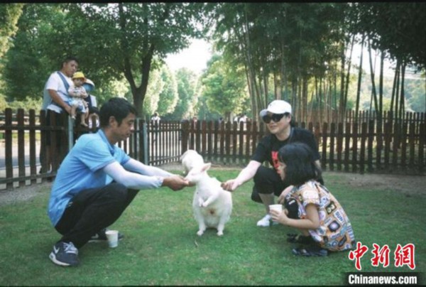 绿水青山新&ldquo;钱&rdquo;景：浙江村民家门口眺望&ldquo;诗和远方&rdquo;