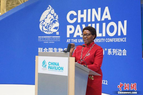 联合国《生物多样性》秘书处执行秘书伊丽莎白&middot;穆雷玛在边会致辞。尹灵 摄