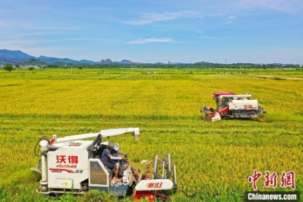 江西今年确保粮食播面稳定在5660万亩以上产量力争达到439亿斤