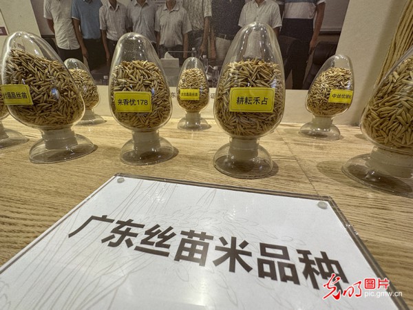 【高质量发展看中国】5G智慧农业 种出高质量好味&ldquo;稻&rdquo;