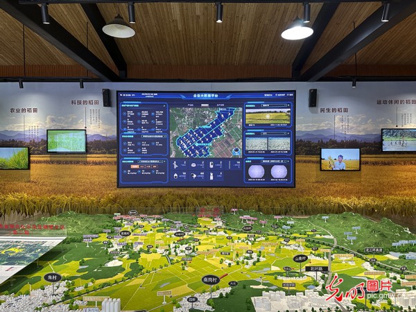 【高质量发展看中国】5G智慧农业 种出高质量好味&ldquo;稻&rdquo;