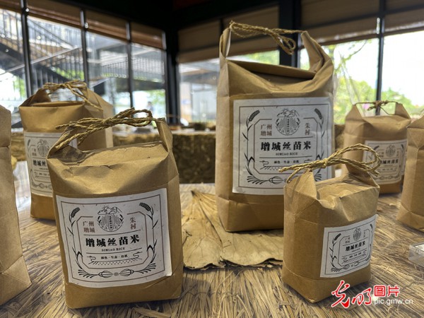 【高质量发展看中国】5G智慧农业 种出高质量好味&ldquo;稻&rdquo;