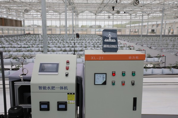 智慧大棚内投入使用的智能水肥一体机。董自强摄