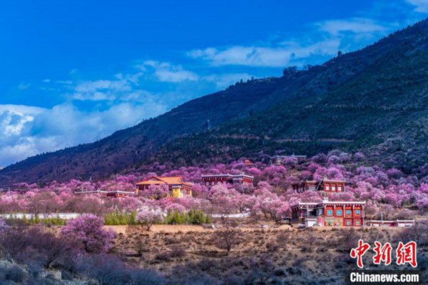 美丽的乡村画卷。　何行铭 摄