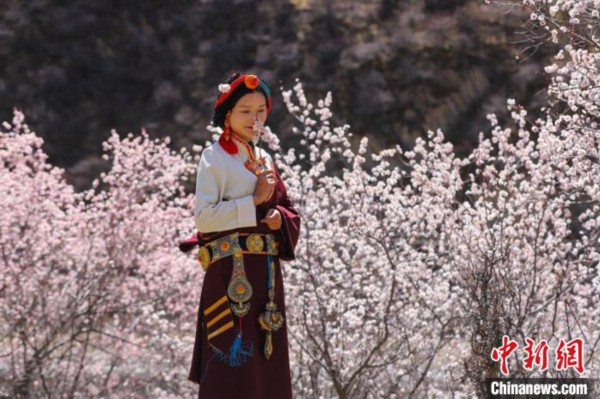 白玉县河坡镇桃花林间身穿民族服饰的藏族女孩。　白玉融媒 摄