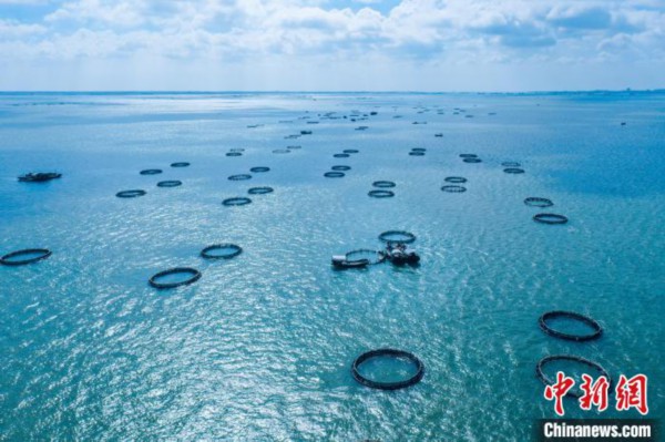 粤西特色产业赋能乡村振兴