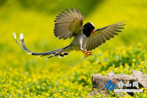 15abf38f936e41f382f248369c4b0738