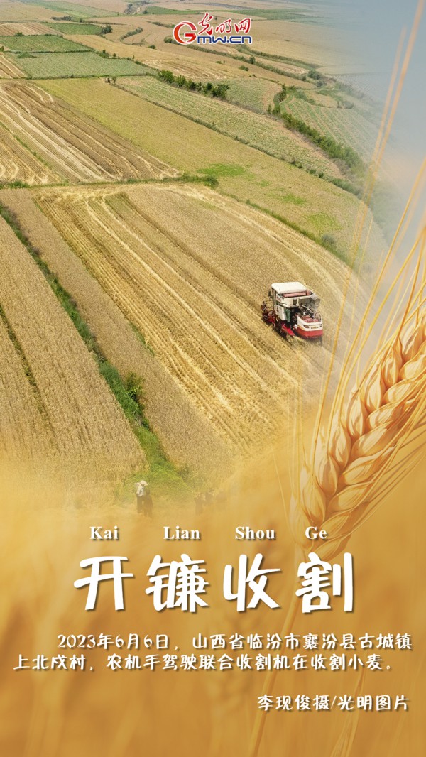 【三夏进行时】海报|三晋夏收农忙“丰”景
