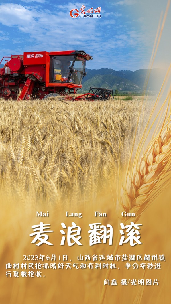 【三夏进行时】海报|三晋夏收农忙“丰”景