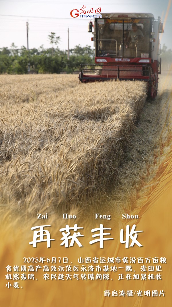 【三夏进行时】海报|三晋夏收农忙“丰”景