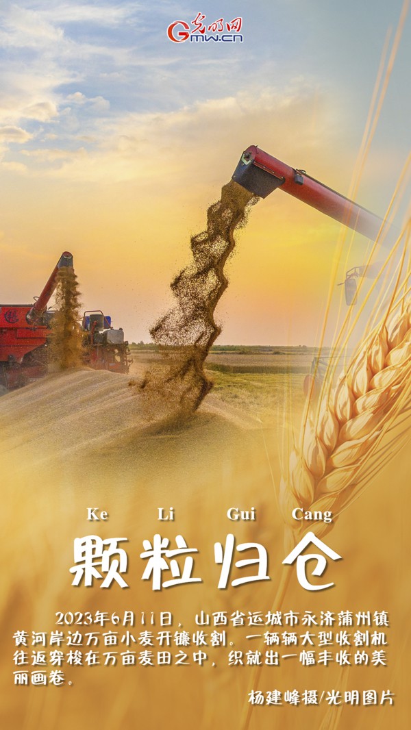 【三夏进行时】海报|三晋夏收农忙“丰”景