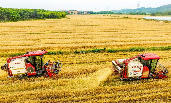 南京日报/紫金山新闻记者 段仁虎 通讯员 朱红生